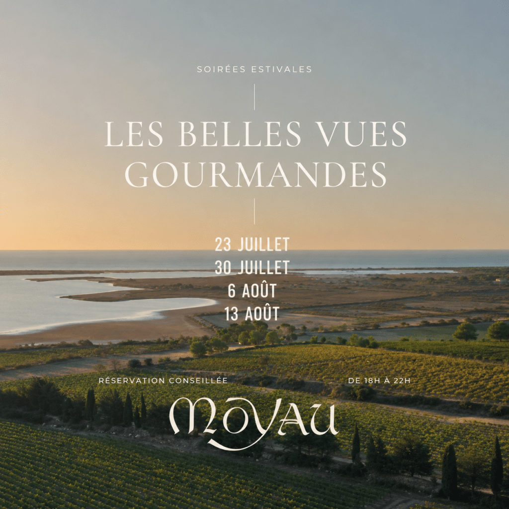 Soirées Les Belles Vues Gourmandes chez Moyau. Vignoble au coucher de soleil, dates en juillet et août de 18h à 22h.