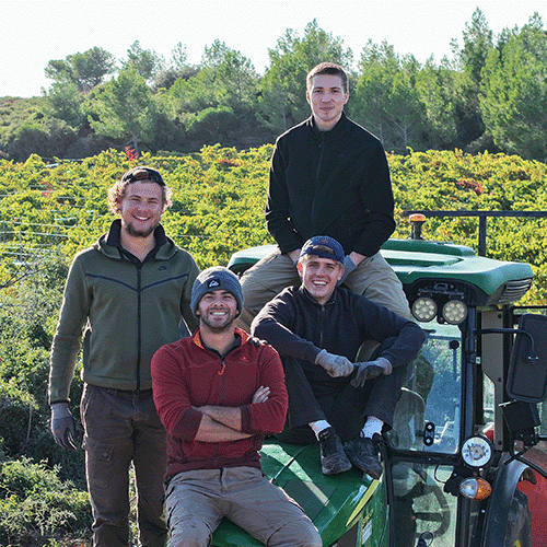 Quatre jeunes hommes souriants posent sur un tracteur vert dans un vignoble ensoleillé lors des vendanges.