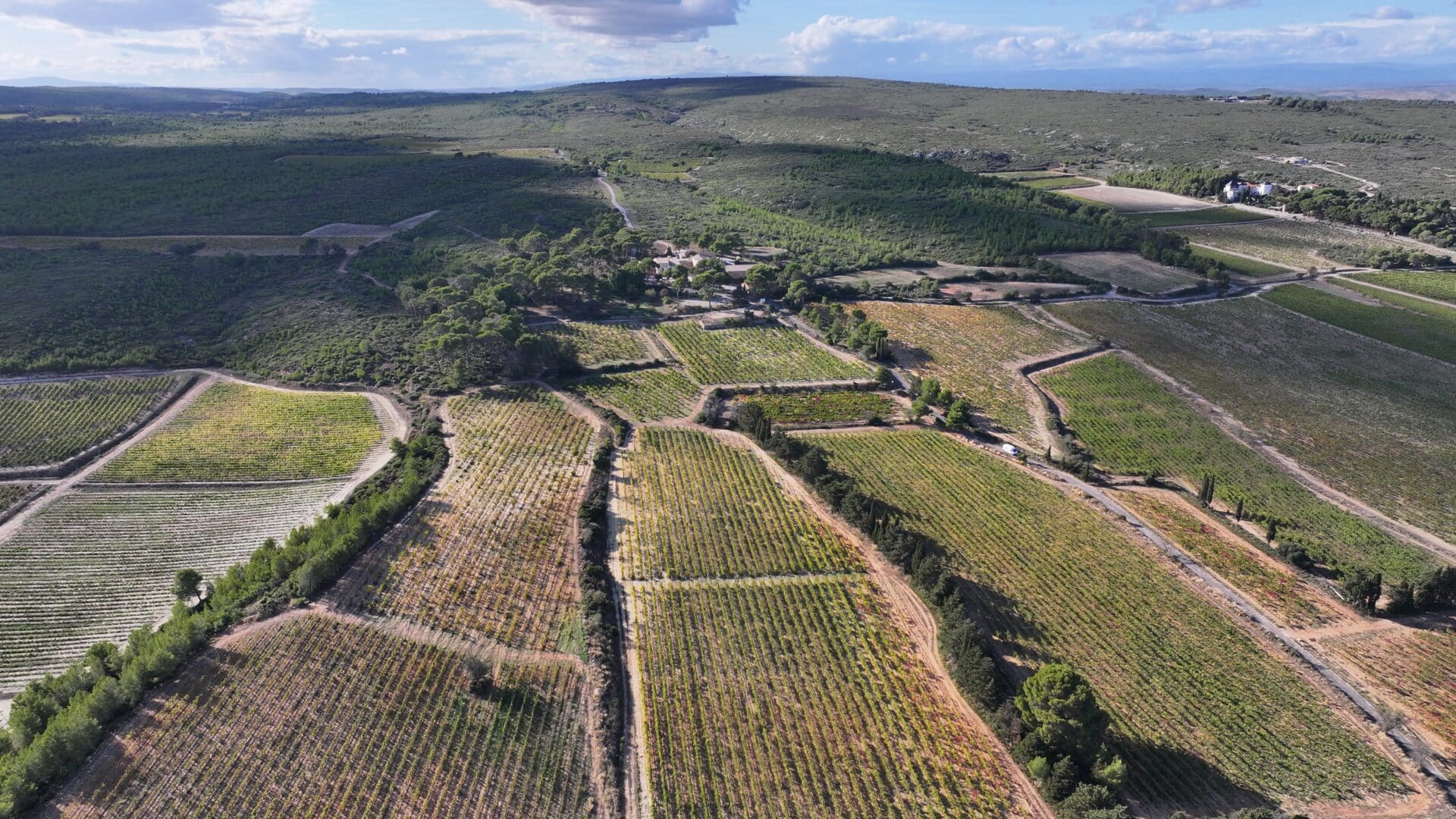 Vue aérienne d'un vignoble vallonné avec rangées de vignes, sentiers et bâtisse rurale sous un ciel nuageux.