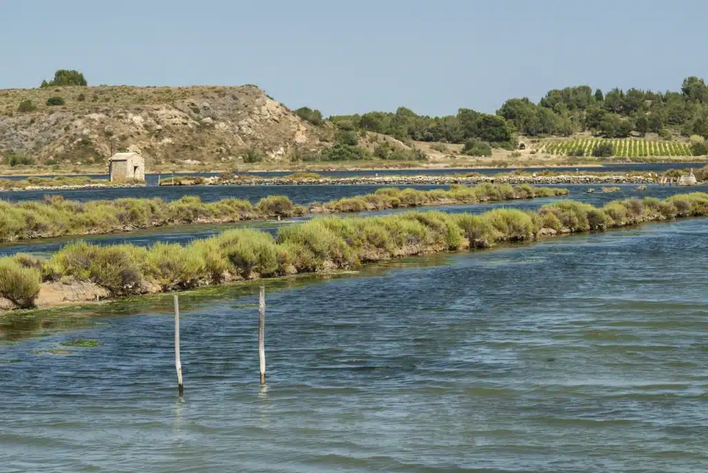 Marais salants et cabane en pierre sous le soleil Marais salants avec cabane de pierre, salicorne et collines sous un ciel bleu clair.